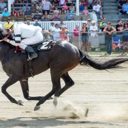The Van Wert County Fairgrounds - Van Wert