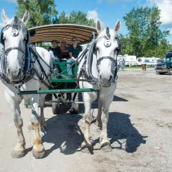 The Van Wert County Fairgrounds - Van Wert