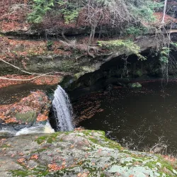 Mill Creek Park - Warren