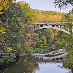Mill Creek Park - Warren