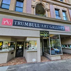 Trumbull Art Gallery - Warren