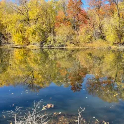 Warren City Park - Warren