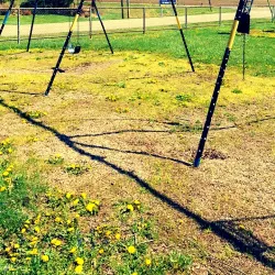 Warren Civic Center - Warren