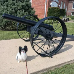 Warren Historical Society and Museum - Warren