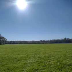 Alum Creek Greenway Trail - Westerville