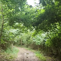 Alum Creek Greenway Trail - Westerville