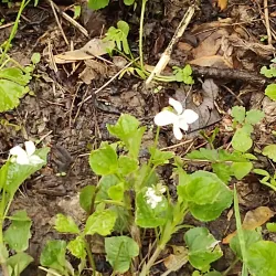 Heritage Park - Westerville