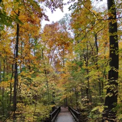 Inniswood Metro Gardens - Westerville