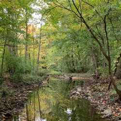 Inniswood Metro Gardens - Westerville