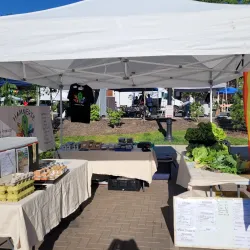 Westerville Farmers Market - Westerville