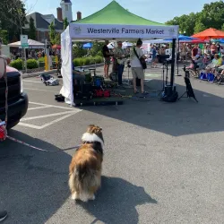 Westerville Farmers Market - Westerville