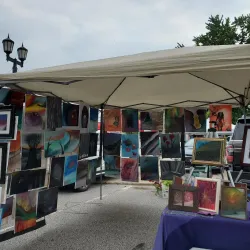 Willoughby Farmers Market - Willoughby