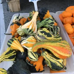 Willoughby Farmers Market - Willoughby