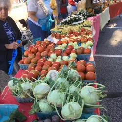 Willoughby Farmers Market - Willoughby