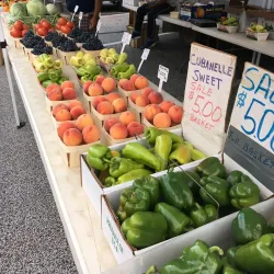 Willoughby Farmers Market - Willoughby