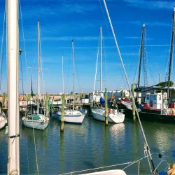 Willoughby Marina - Willoughby