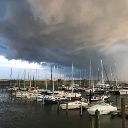 Willoughby Marina - Willoughby