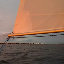 Willoughby Marina - Willoughby