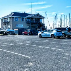 Willoughby Marina - Willoughby