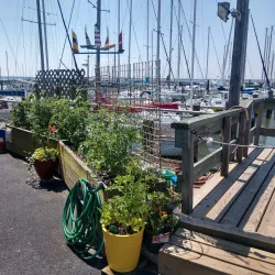 Willoughby Marina - Willoughby