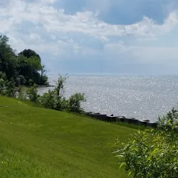 Willoughby South Park - Willoughby