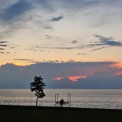 Willoughby South Park - Willoughby