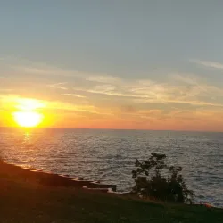 Willoughby South Park - Willoughby