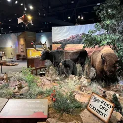 Chisholm Trail Heritage Center - Duncan