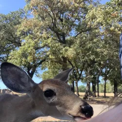 Lake Humphreys - Duncan