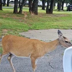 Lake Humphreys - Duncan