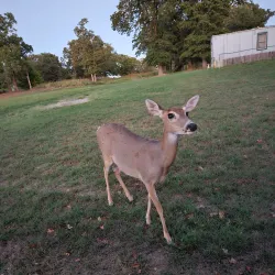 Lake Humphreys - Duncan