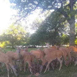 Lake Humphreys - Duncan