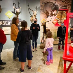 Red River Valley Museum - Duncan