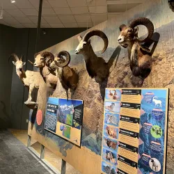 Red River Valley Museum - Duncan