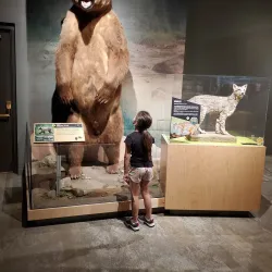 Red River Valley Museum - Duncan