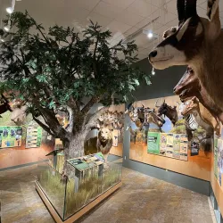 Red River Valley Museum - Duncan