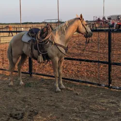 Stephens County Fairgrounds - Duncan