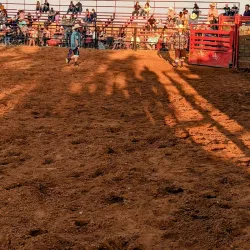 Stephens County Fairgrounds - Duncan