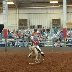 Stephens County Fairgrounds - Duncan