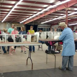 Stephens County Fairgrounds - Duncan