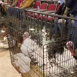 Stephens County Fairgrounds - Duncan