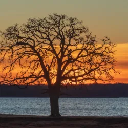 Arcadia Lake - Edmond