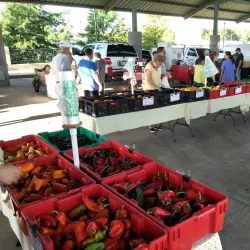 Edmond Farmers Market - Edmond
