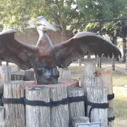 Pelican Bay Aquatic Center - Edmond