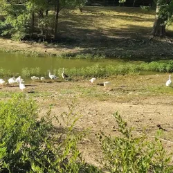 Guymon Golf Course - Guymon