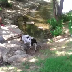 Guymon Golf Course - Guymon