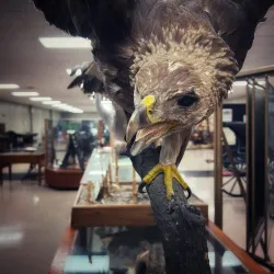 Guymon Pioneer Museum - Guymon