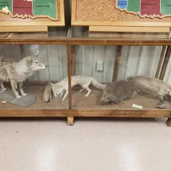 Guymon Pioneer Museum - Guymon