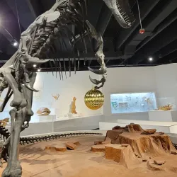 Panhandle Plains Historical Museum - Guymon