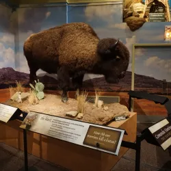 Comanche National Museum and Cultural Center - Lawton